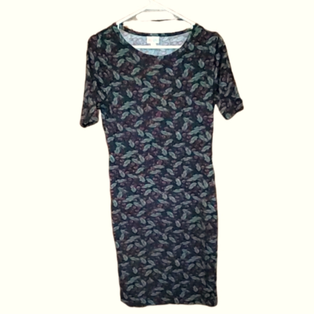LuLaRoe Womens Green Dress XS With Dark Red Poppies Snug stretchy Fabric